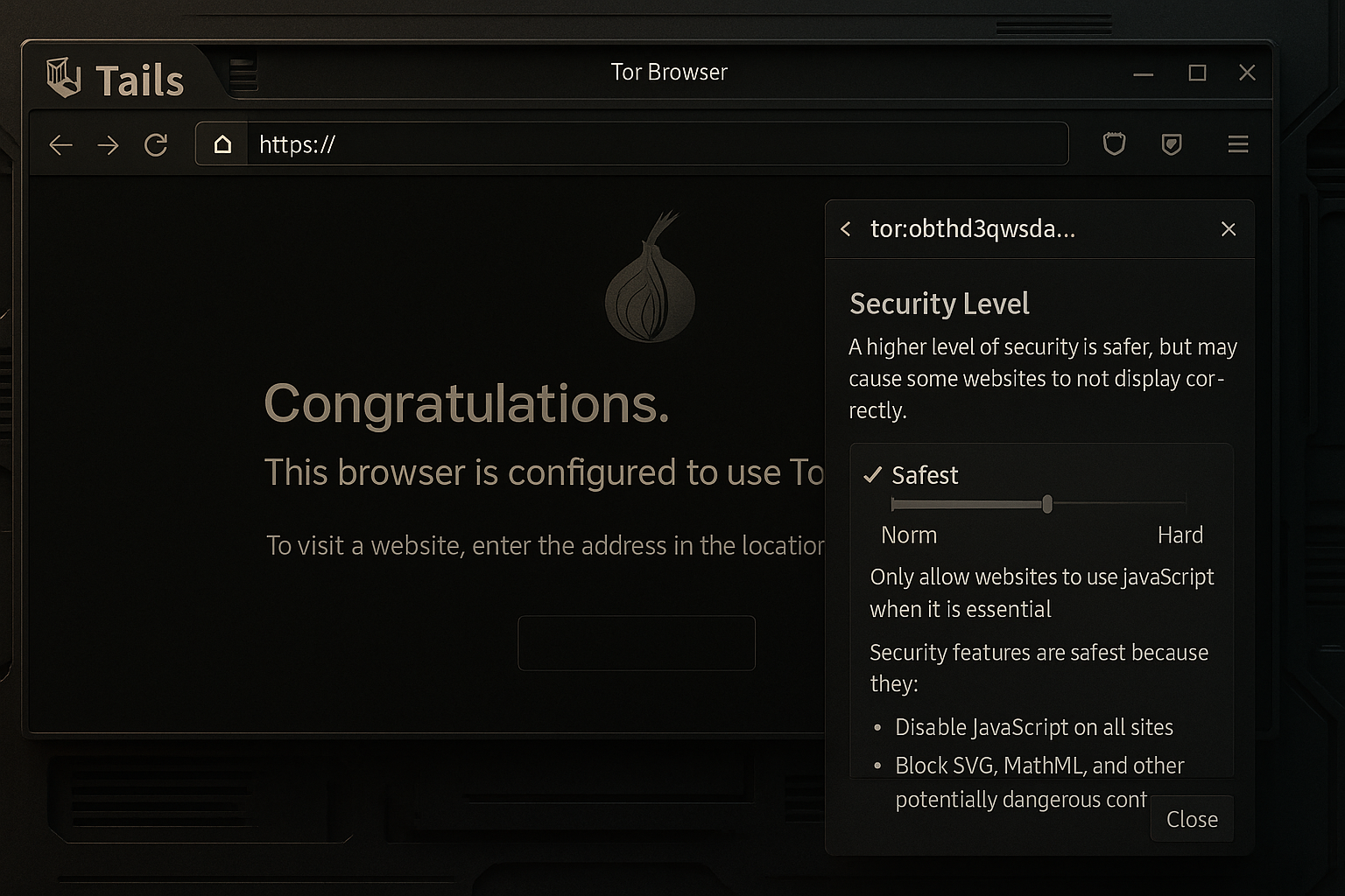 Screenshot of Tor Browser running on Tails OS, with a military-industrial themed UI and privacy-focused settings panel